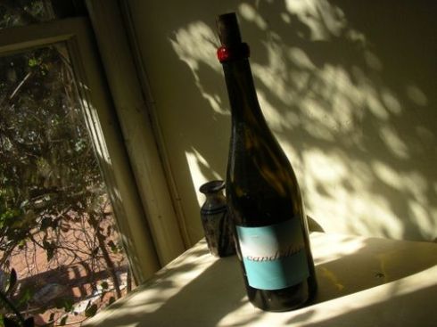 Candidus - thanks to Embury Cocktails for this picture!