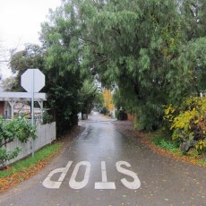 A driveway to somewhere in Los Olivos